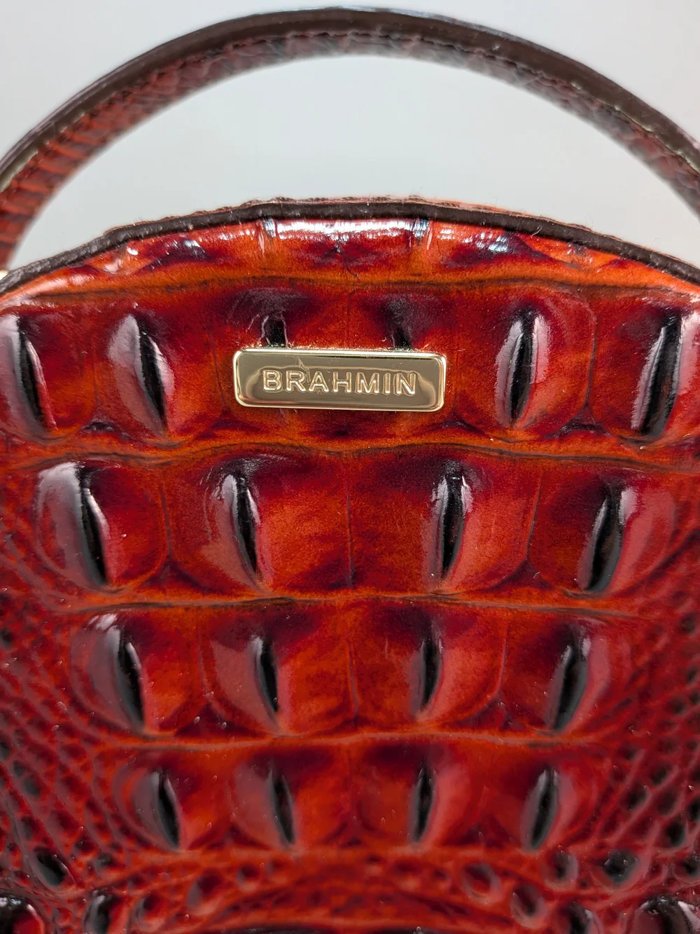 BRAHMIN Lane Circle Melbourne Pecan Crossbody Croc Embossed Leather Microfiber